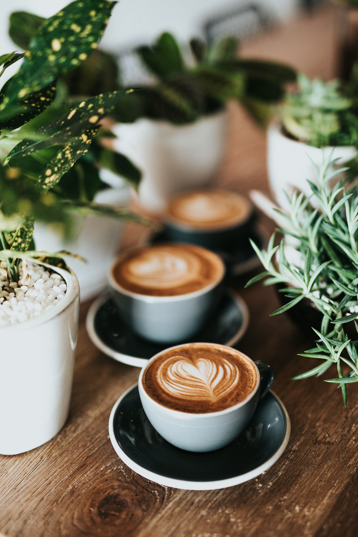Un café, une conversation